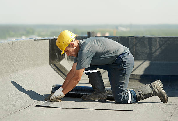 Best Residential Insulation in Carrabelle, FL