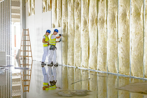 Best Specialized Insulation Services in Carrabelle, FL